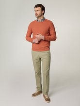 Bild von Hose im Regular Fit CHAM