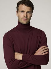 Image sur Pull à col roulé HERNANDO