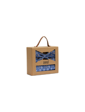 Bild von Fliege & Pochette Set