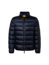 Bild von Steppjacke aus Daunen DILLON