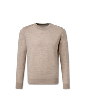 Bild von Pullover im Regular Fit