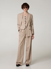 Bild von Bundfaltenhose mit Nadelstreifen