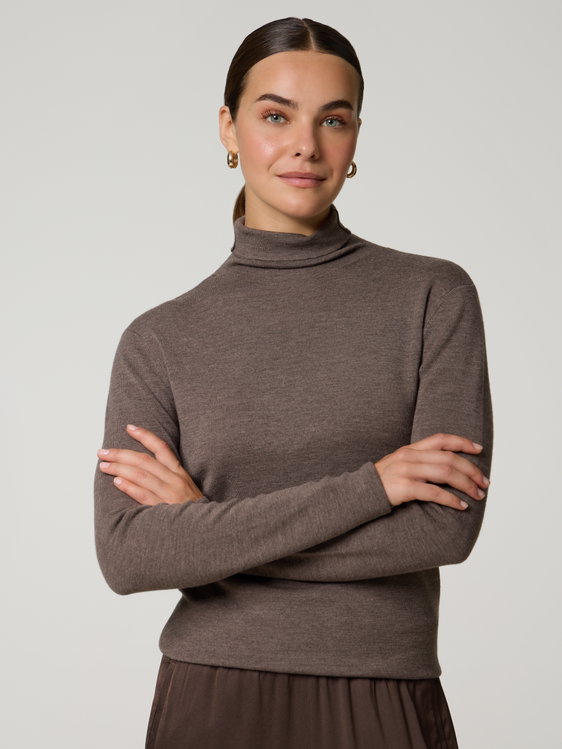 Bild von Merinorollkragenpullover