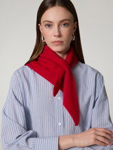 Image sur Foulard triangulaire en cachemire