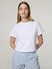 Image de Croppedshirt