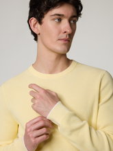 Image sur Pull en coton bio